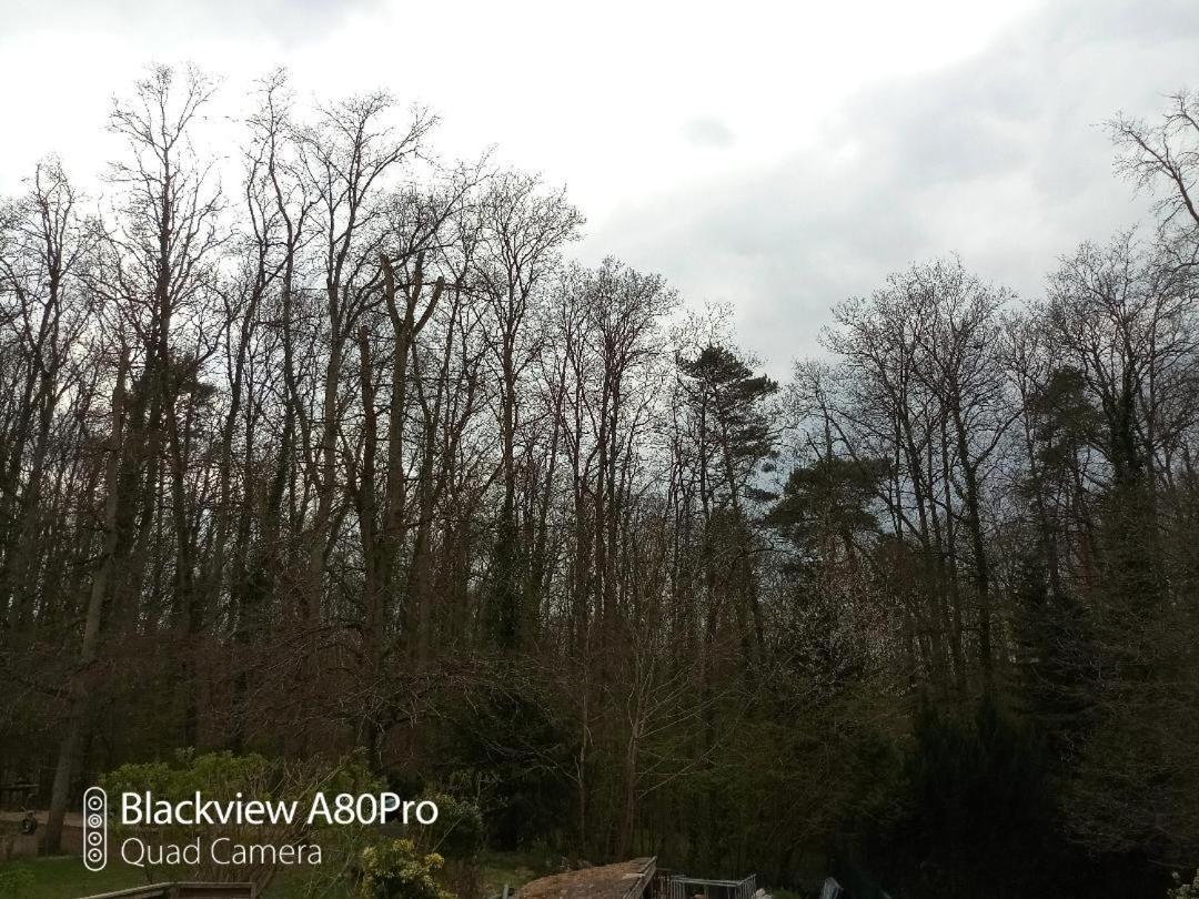 La Sablonniere De Rochefort Buitenkant foto
