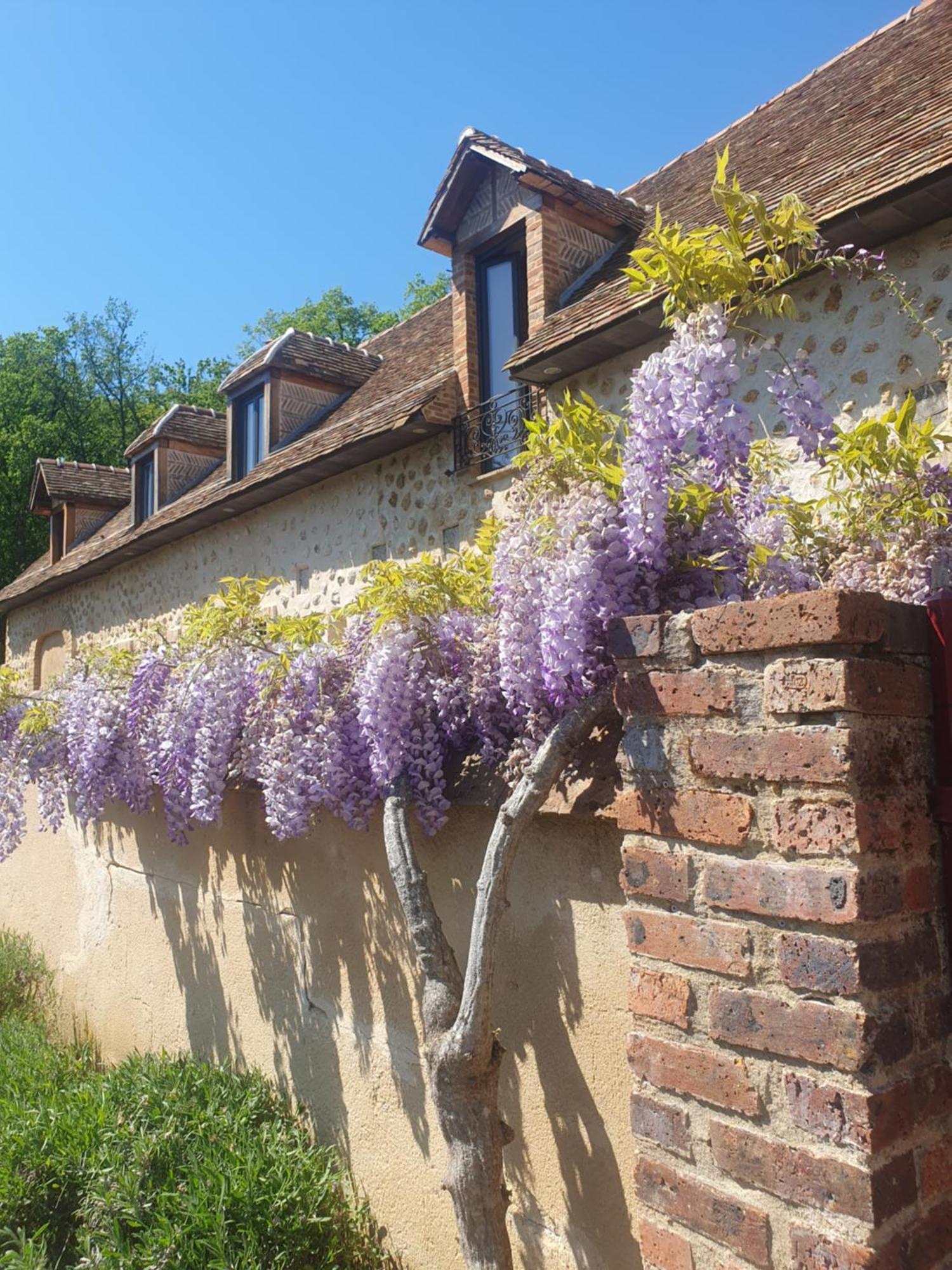 La Sablonniere De Rochefort Buitenkant foto